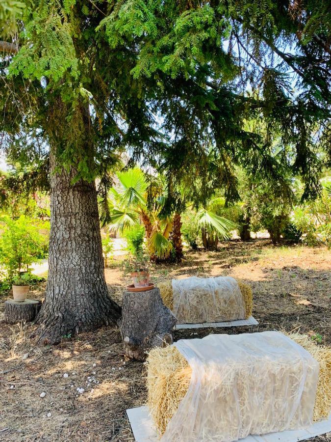 Willa Trulli Pietra Viva Alberobello Zewnętrze zdjęcie