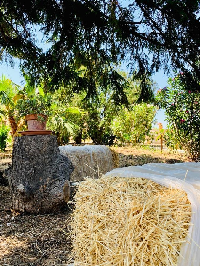 Willa Trulli Pietra Viva Alberobello Zewnętrze zdjęcie